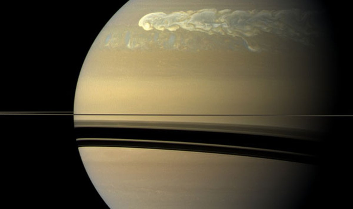 Audra Saturne