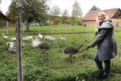 Ramunės Lygnugarienės stručiai A. Garastaitės nuotr.