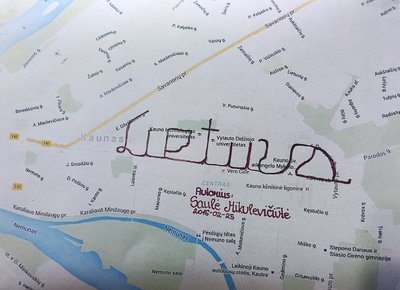 Išvaikščiojo žodį Lietuva