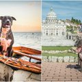 Užburiančios kelionių nuotraukos: šio šuns atostogos kelia pavydą
