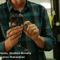 Stebėdami bonobo mokslininkai sukūrė šokinėjantį robotą