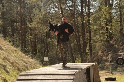 Tarnybinių šunų varžybos - Dieveniškių užkardos pareigūnas Andrejus Gračiovas su vokiečių aviganiu Black Bandit