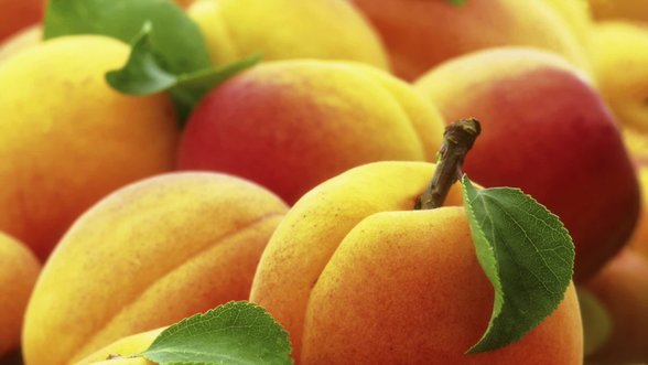 „Delfi agro“. Amšiejus paaiškina, kaip sodinti ir prižiūrėti persikus bei abrikosus, kad jie išgyventų Lietuvoje