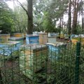 Bitininkas šimtais bičių pjudo kaimynus