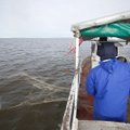Į Kuršių marias tekėjusių teršalų tyrimai: žvejai jau panikuoja