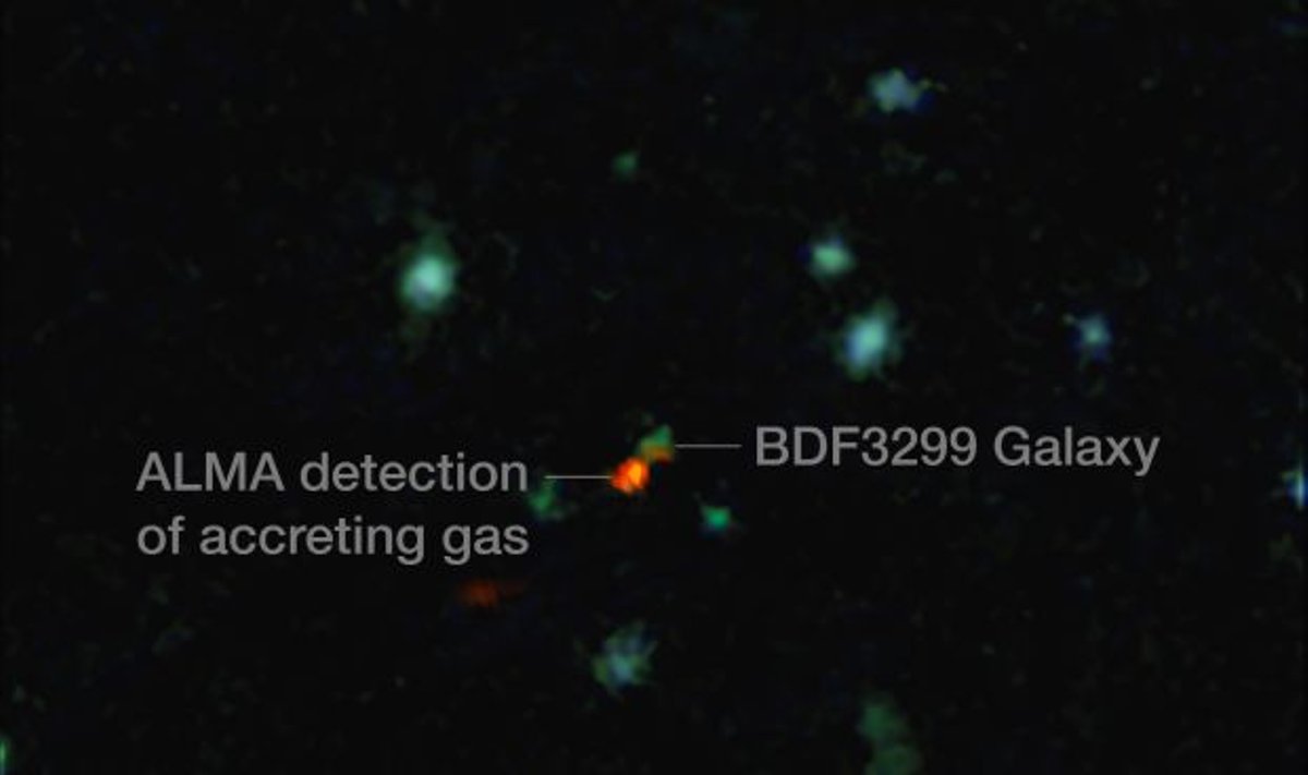 BDF 3299 atvaizdų, padarytų ALMA (raudona sritis) ir Labai Dideliu Teleskopu kombinacija. Raudona sritis atitinka jonizuotos anglies spinduliavimą, stebimą žvaigždėdaros regionuose