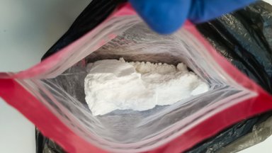 В Санкт-Петербурге таможня конфисковала больше тонны кокаина из Никарагуа