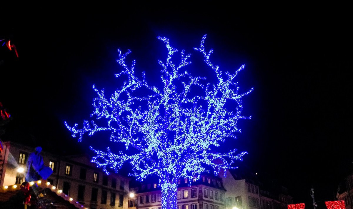 Kalėdinė mugė Strasbūre
