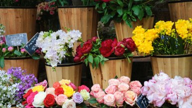 Jurbarkietė verslininkė pristato naujovę – gėlių savitarną