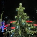 Palanga taps Kalėdų pasakų miestu: žada įspūdingą eglę ir daugybę staigmenų