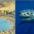 Egipto kurorte ryklys mirtinai sudraskė jūroje besimaudžiusį rusą