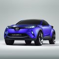 „Toyota“ rengia atsaką populiariajam SUV