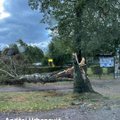 Жители Литвы сообщают о нанесенном сильным ветром ущербе
