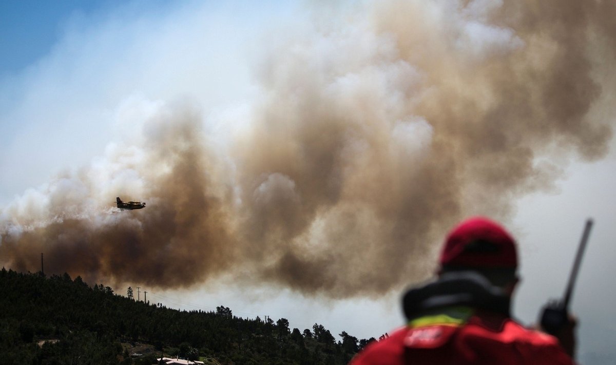 Miškų gaisrai Algarvėje