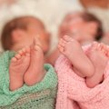 Mokslininkai paaiškino, kodėl dabar dvynių susilaukiama dažniau, nei bet kada iki šiol: kam didžiausia tikimybė?
