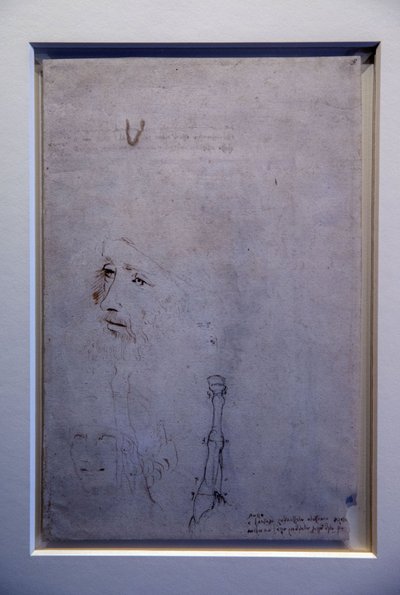 Leonardo Da Vinčio portretas