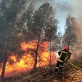 Ugniagesiai įspėja: miškų gaisrai pasiekė piką