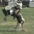 Urugvajuje vyksta didžiausias Pietų Amerikoje rodeo