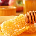 Kaip gydo medus: skirtingai ligai – skirtinga rūšis