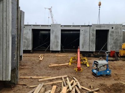 Aistės Kisarauskaitės darbai, paroda „Tobula vieta gyventi“ Vilniaus Rotušėje