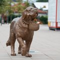 Smartest dog in Kaunas immortalized in bronze