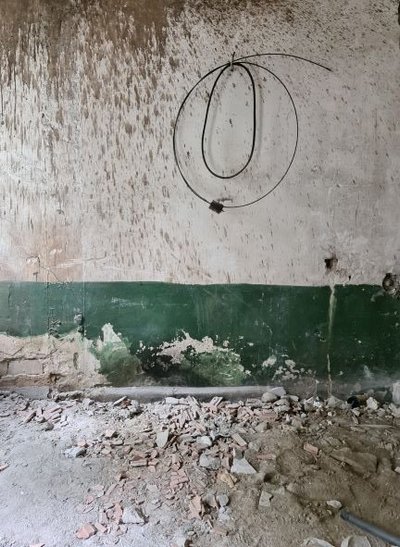 Aistės Kisarauskaitės darbai, paroda „Tobula vieta gyventi“ Vilniaus Rotušėje