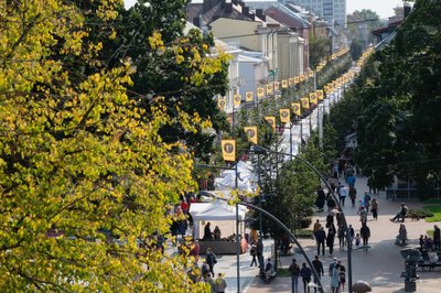 Ramunės Bernotaitės nuotrauka, mugė bulvare