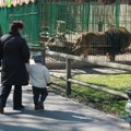 Lietuvos zoologijos sodui prikelti – 35 mln. Lt finansinė injekcija