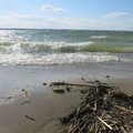 „Dzūkijos jūra“ pasidengė neaiškios kilmės medžiagomis: maudytis nerekomenduojama