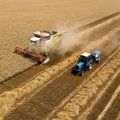 Rusija tampa duonkepio svajone: šalis džiaugiasi aukščiausios rūšies kviečių pertekliumi