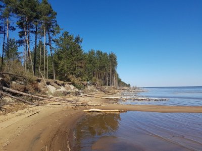 Nusekusios Kuršių marios