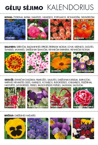 Gėlių sėjimo kalendorius