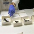 Atskleista 1,5 tūkst. metų senumo Izraelyje rasto rankraščio paslaptis