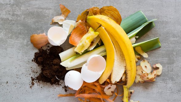 Virtuvės šefai pataria, kaip išradingai sunaudoti maisto likučius: panaudosite morkų, salierų, svogūnų ir česnakų galiukus
