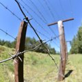 „Geležinės uždangos“ likučiai Lietuvoje: spygliuota tvora ir paslaptingas kelias suveikia geriau nei laiko mašina