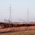 President signs bill on restrictions for electricity from Belarus' N-plant