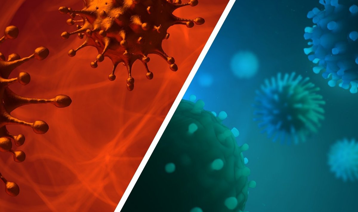 SARS-Cov-2 virusas ir gripą sukeliantis virusas
