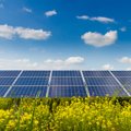 Naują paramą saulės elektrinėms gali gauti ir jas jau turintieji