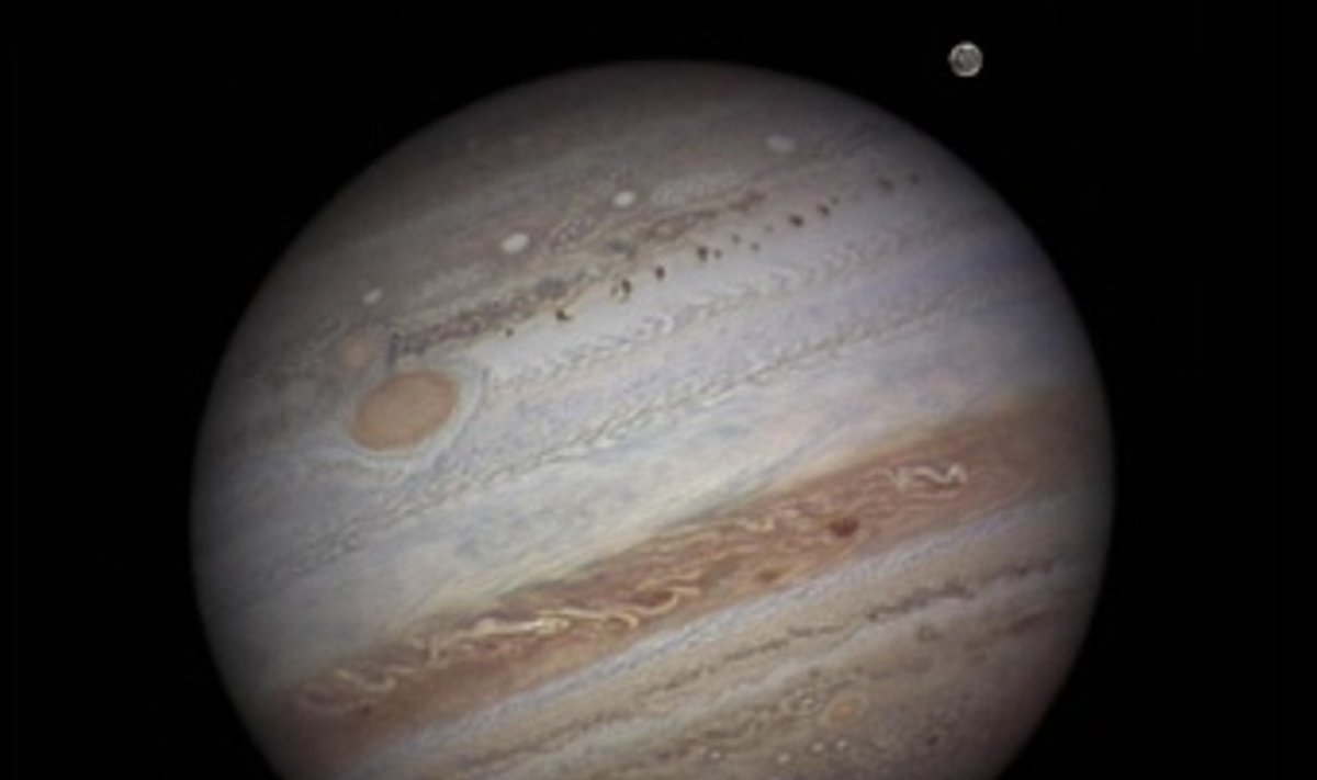 Юпитер со спутниками. Фото NASA/Damian Peach