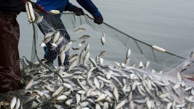 Ištyrė, kiek pasaulio vandenynus teršia žvejyba: vien išmestų ūdų užtektų iki Mėnulio ir atgal