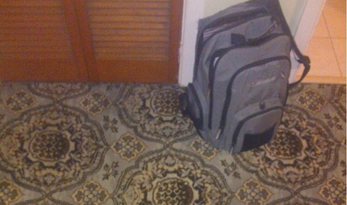 Vėžlys ant kilimo
