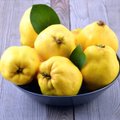 Svarainis ne veltui vadinamas lietuviškąja citrina: nustebsite, kiek gėrio mažame vaisiuje