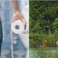 Amerikiečių meilė prabangiam tualetiniam popieriui naikina Kanados miškus
