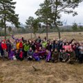Įsibėgėja ERGO iniciatyva apsodinti Lietuvą medžiais: jau prisijungė pusė tūkstančio komandų