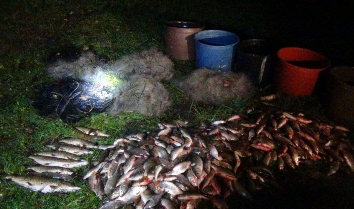 Metelio ežere brakonierius sugavo beveik pusantro šimto kilogramų žuvų