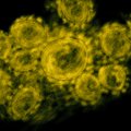 Mokslininkai rado būdą, kaip ore neutralizuoti SARS-CoV-2 virusą: tokioje temperatūroje žūva greičiau nei per sekundę