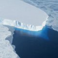 Antarktidoje užfiksuotas šilumos rekordas