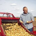 Vieną didžiausių šalyje svogūnų ūkį valdantis ūkininkas: kokybė prasideda sėjimo metu