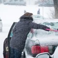 Жители Литвы раскупают в магазинах средства для чистки снега