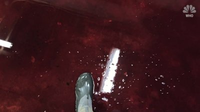 Nickas Lestina rado namo rūsį užtvindytą krauju
